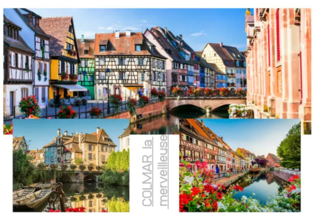 Peyerimhoff Colmar - 3 Chambres - 8 Pers - Clim Экстерьер фото